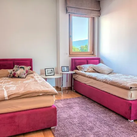 Apartment Vip *